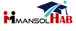 ManSolHub Logo